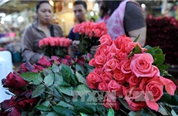 Hoa hồng tăng giá "đột biến" dịp Lễ tình nhân 